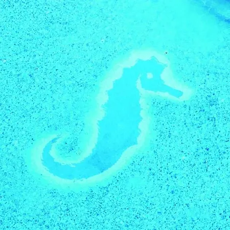 Seaside Sandy Otel 4*