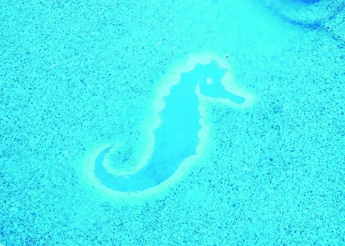 Seaside Sandy Szálloda 4*